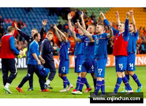 冰岛英超球员：从未被完全揭示的成功背后